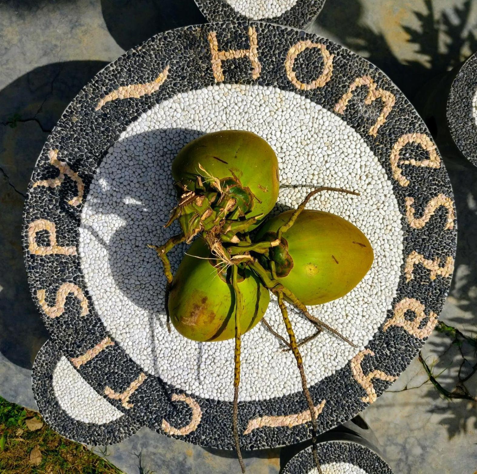 Crispycool Homestay Kuta  Eksteriør billede
